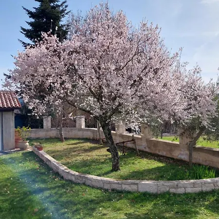 Holiday home Casa Mandula Rakotule